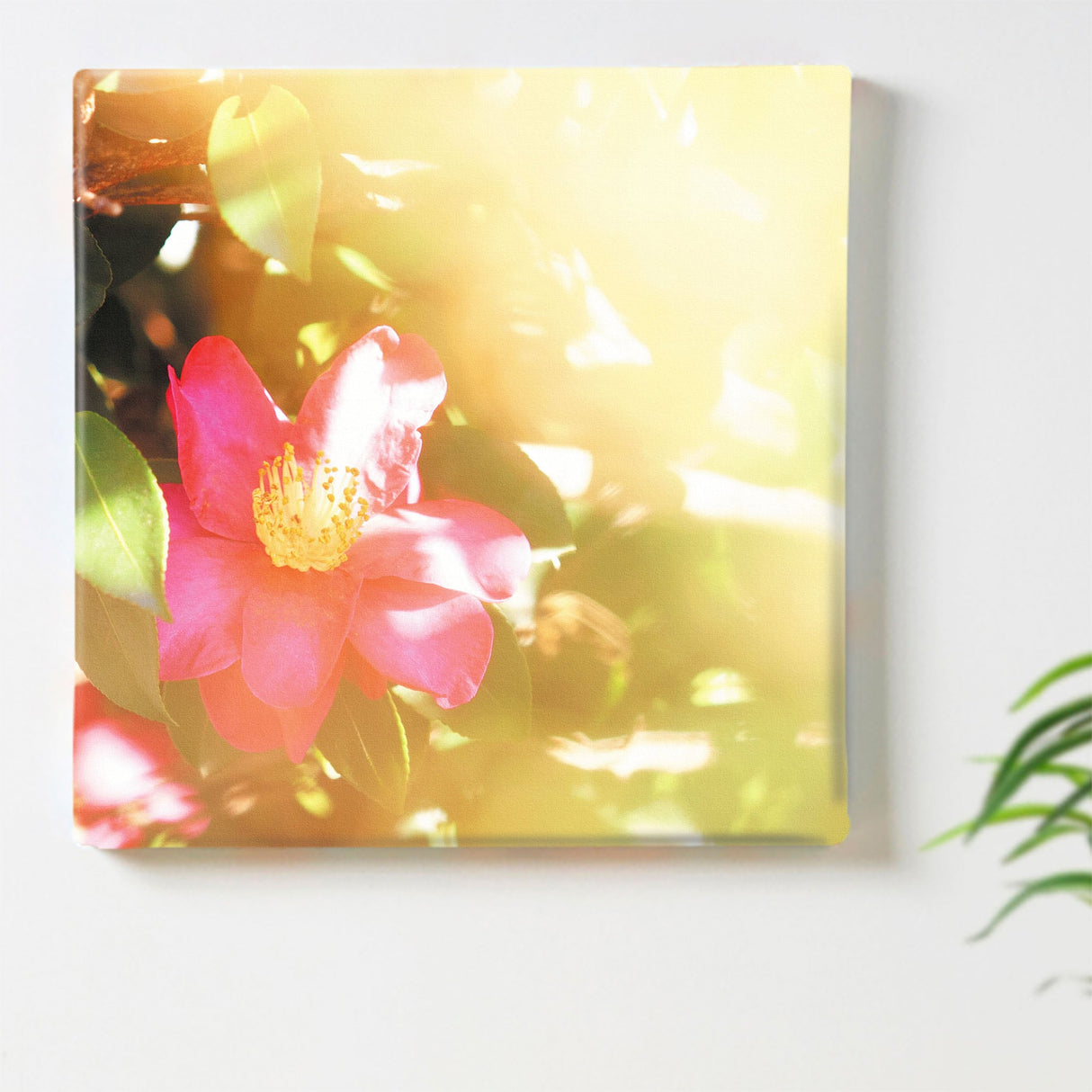 サザンカのファブリックボードセット インテリア雑貨 アートパネル キャンバス 花 グリーン nori-2005-040 - ArtDeli. アートパネル専門店