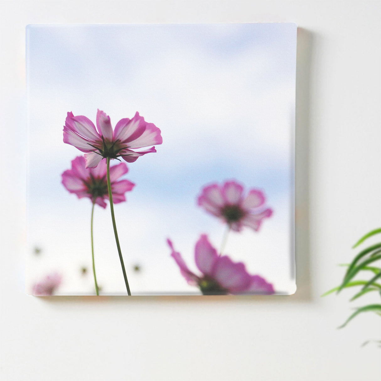 コスモスのファブリックボードセット インテリア雑貨 アートパネル キャンバス 花 ブルー nori-2005-041 - ArtDeli. アートパネル専門店
