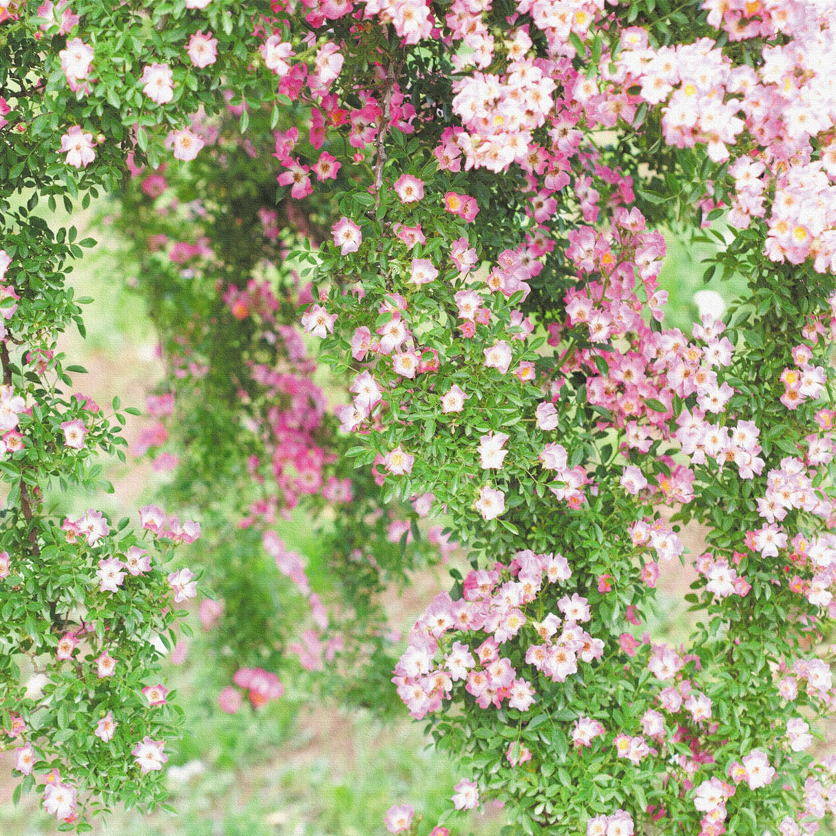 バラのファブリックパネルセット インテリア雑貨 アートパネル キャンバス 花 グリーン nori-2005-042 - ArtDeli. アートパネル専門店