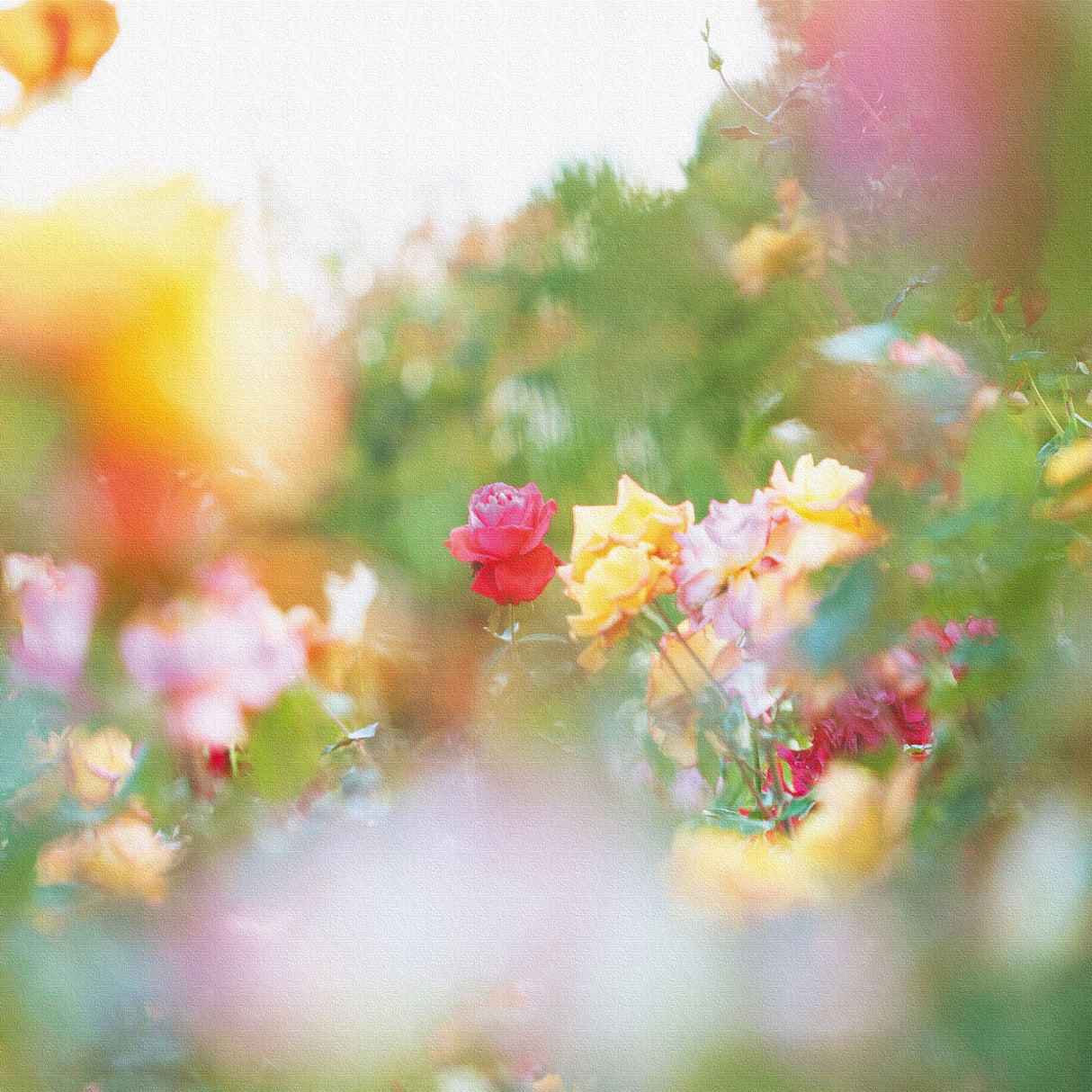 バラのファブリックパネルセット インテリア雑貨 アートパネル キャンバス 花 グリーン nori-2005-043 - ArtDeli. アートパネル専門店