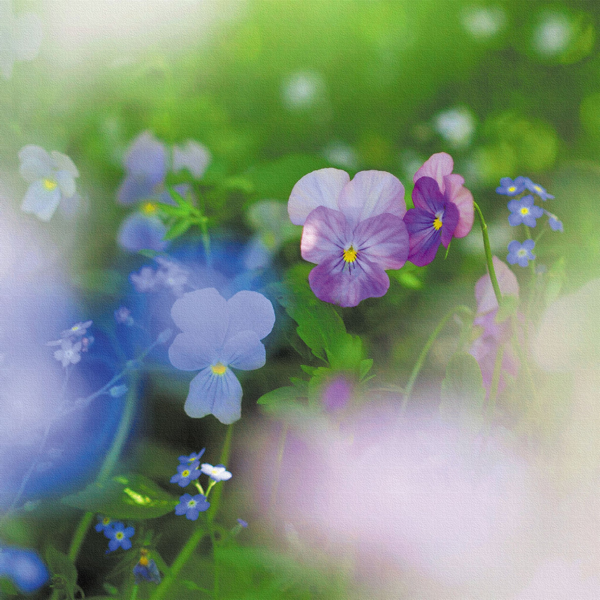 ビオラのウォールデコセット インテリア雑貨 アートパネル キャンバス 花 グリーン nori-2005-044 - ArtDeli. アートパネル専門店