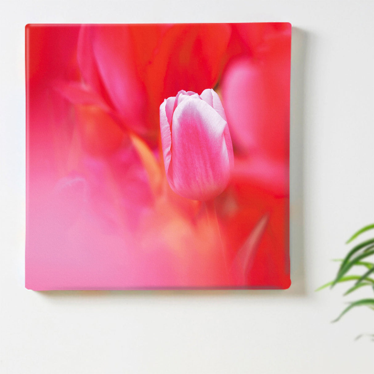 チューリップのファブリックパネルセット インテリア雑貨 アートパネル キャンバス 花 レッド nori-2005-045 - ArtDeli. アートパネル専門店