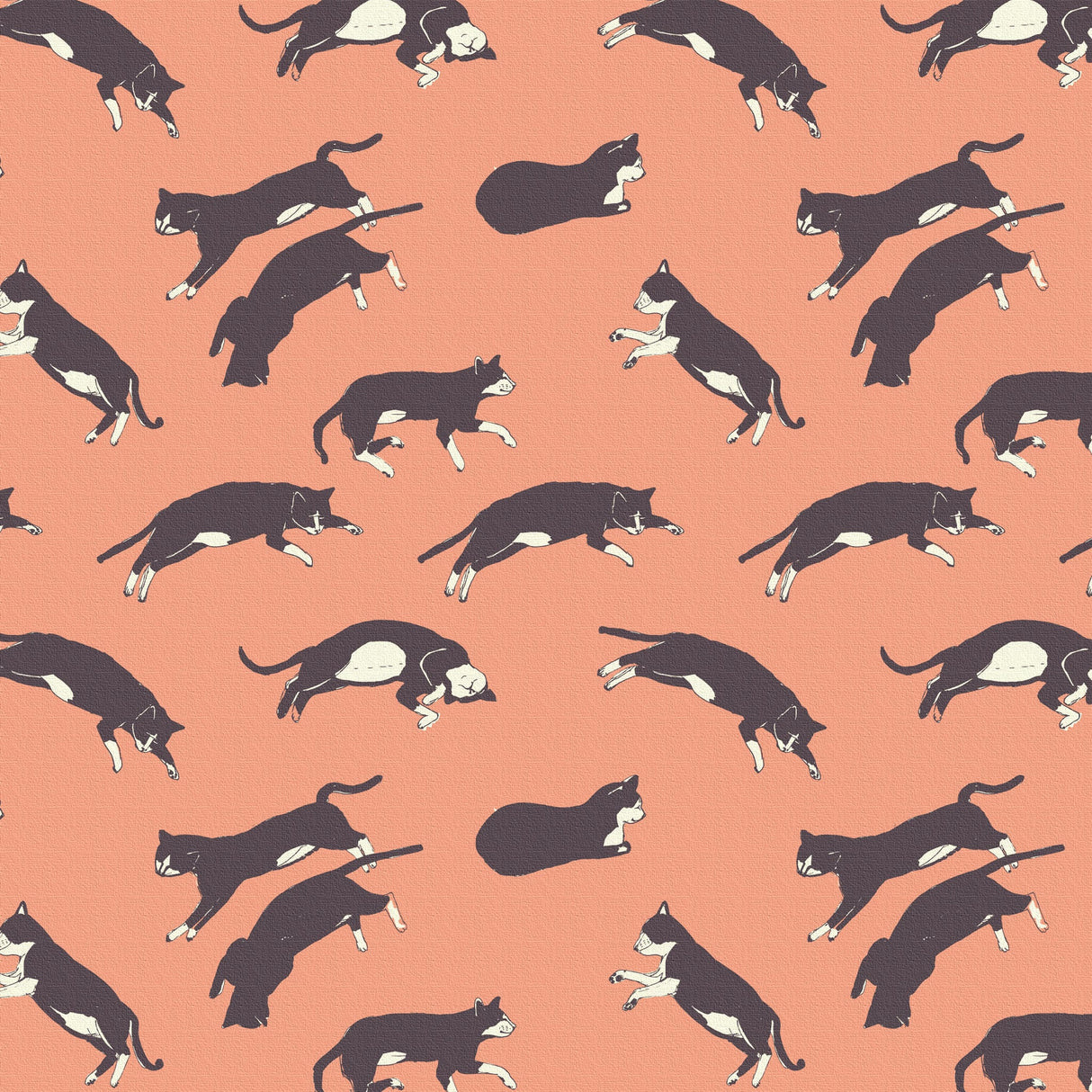 Cat fabric panel, miscellaneous goods, poster