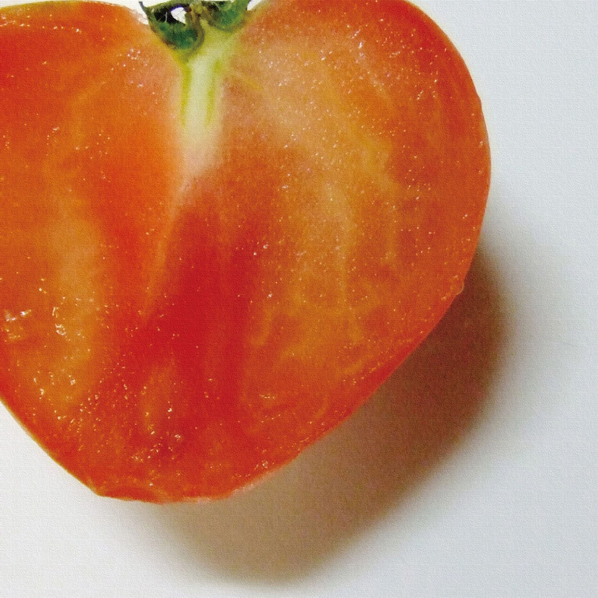 野菜モチーフのファブリック 壁掛け アート pho-0003