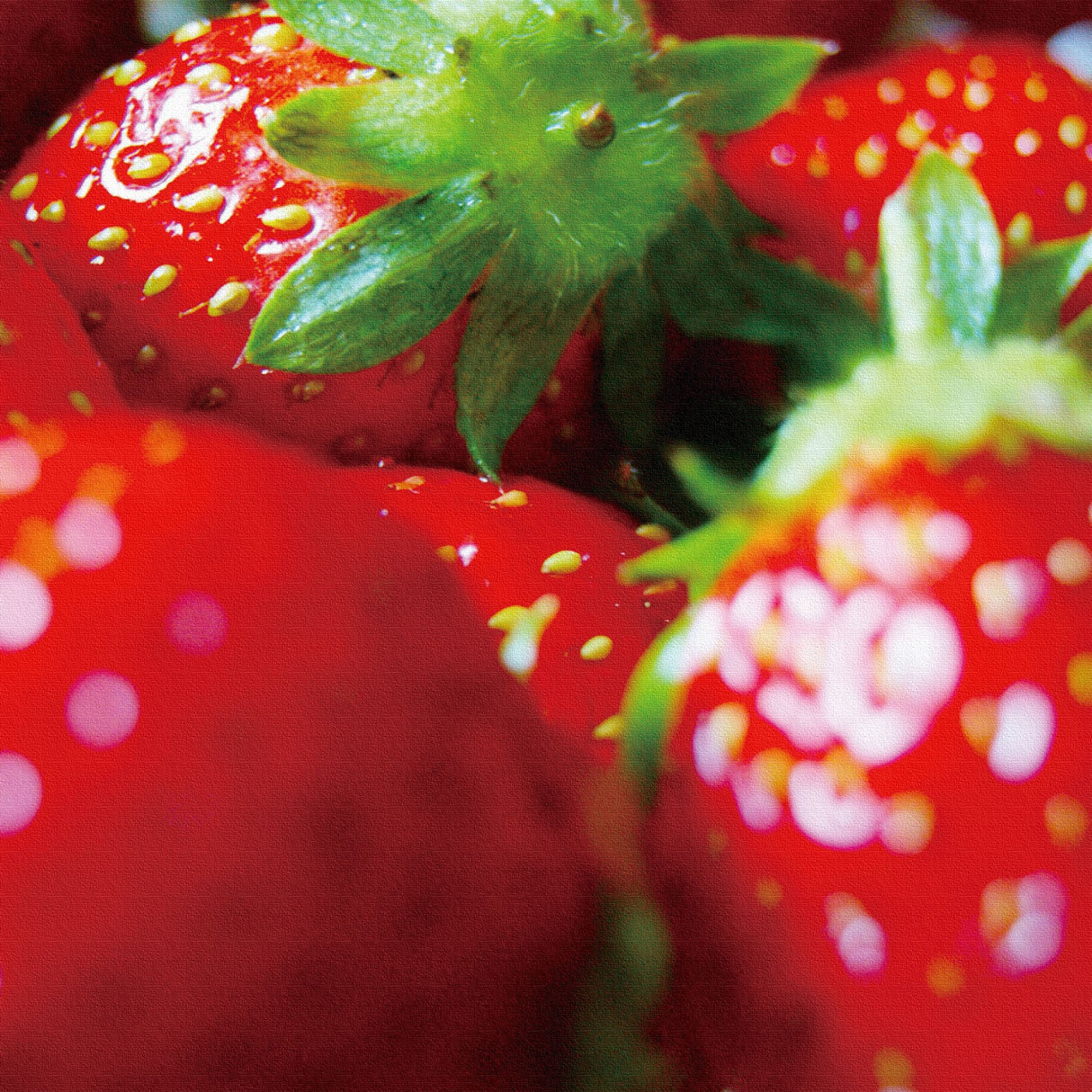 イチゴのインテリア小物 ウォールデコ インテリア pho-0005