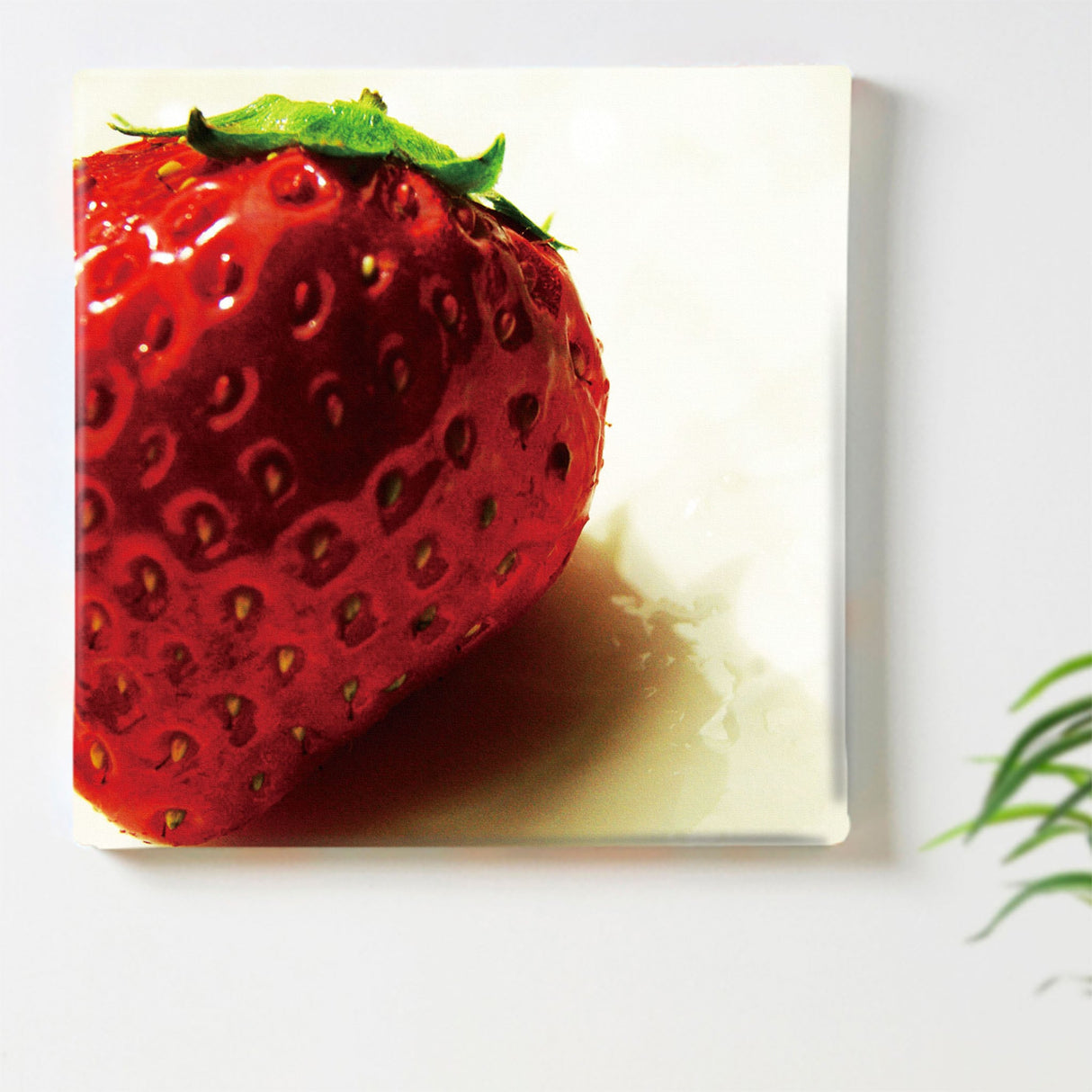 イチゴのファブリックパネル インテリア 雑貨 pho-0010