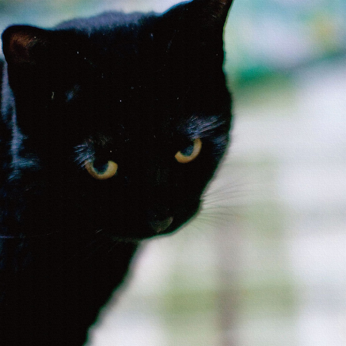 壁掛けインテリアならファブリックパネル|猫 インテリア 雑貨 pho-0030