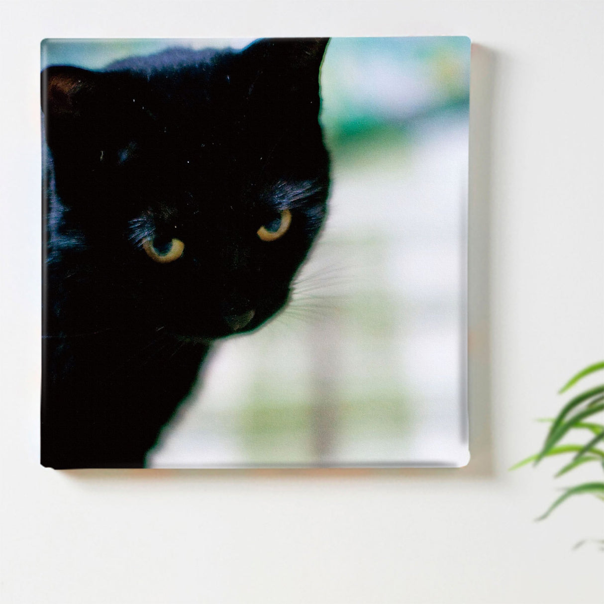 壁掛けインテリアならファブリックパネル|猫 インテリア 雑貨 pho-0030