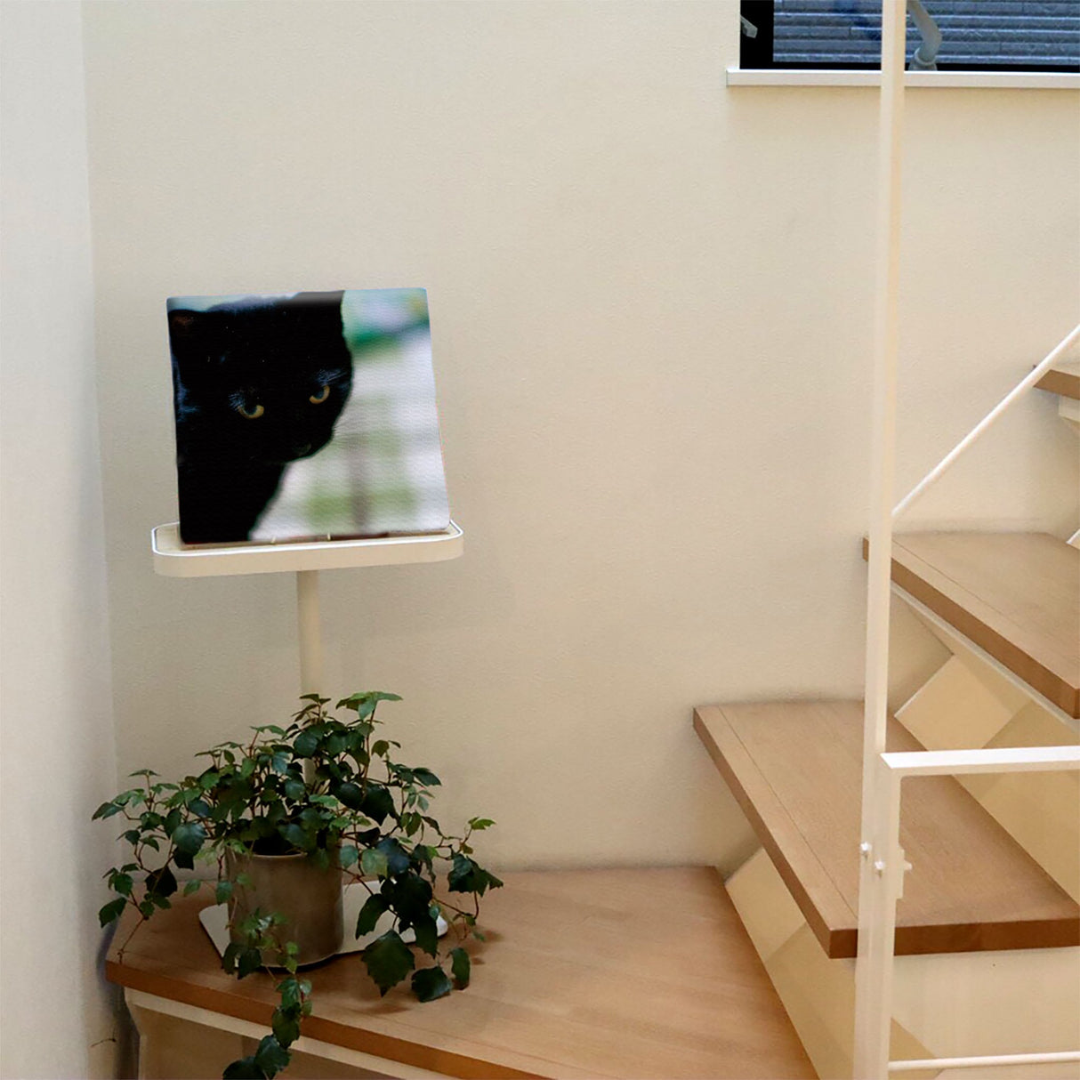 壁掛けインテリアならファブリックパネル|猫 インテリア 雑貨 pho-0030