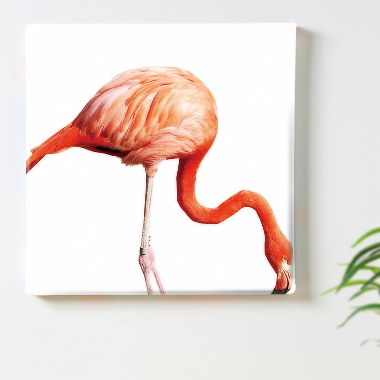 Flamingo Fabric Panel Photo Art pho-0037