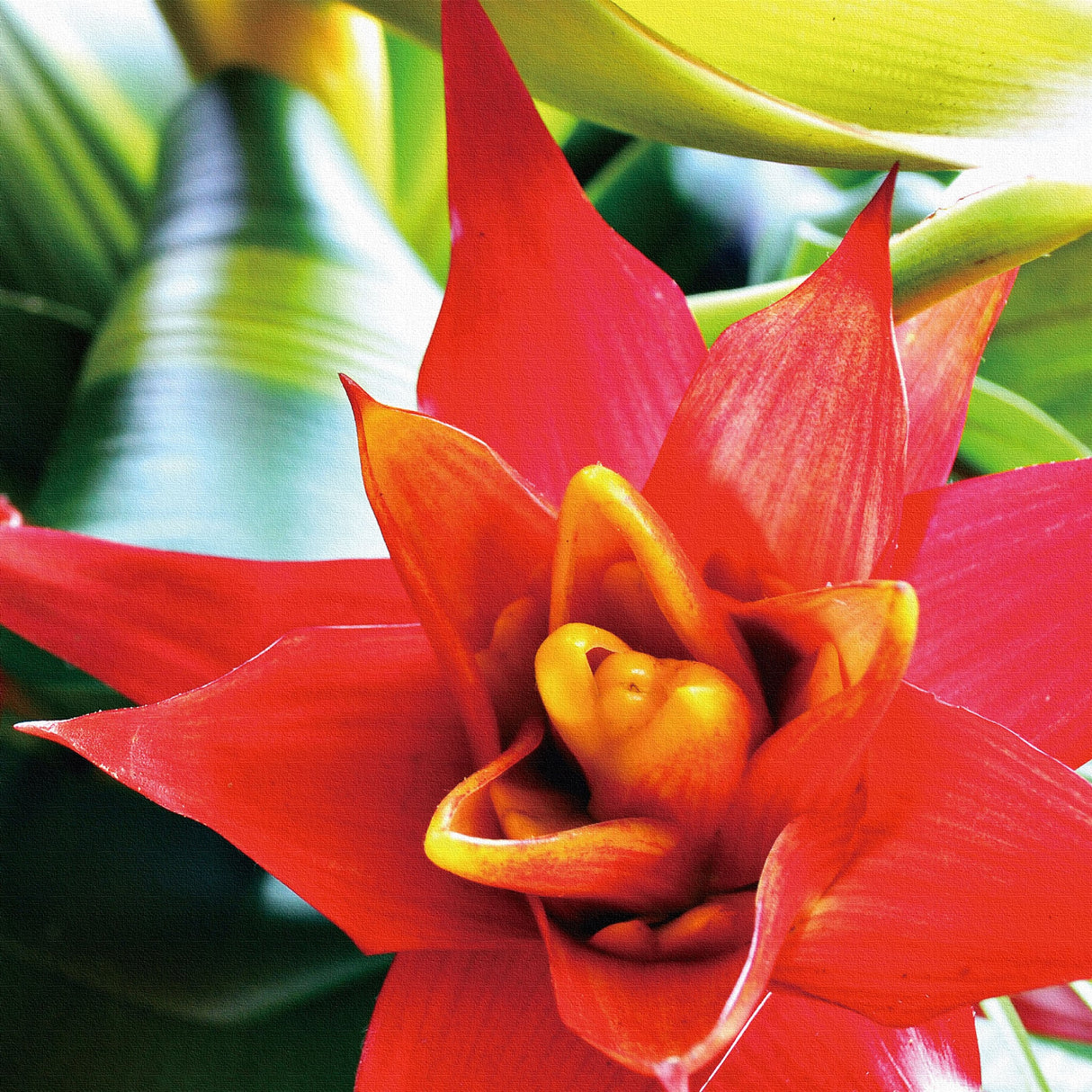 花モチーフのファブリックパネル インテリア 雑貨 pho-0058