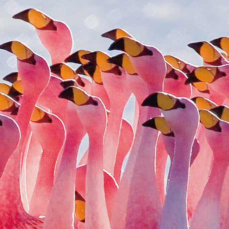 フラミンゴをモチーフにしたファブリックパネル 一人暮らし インテリア pho-0061