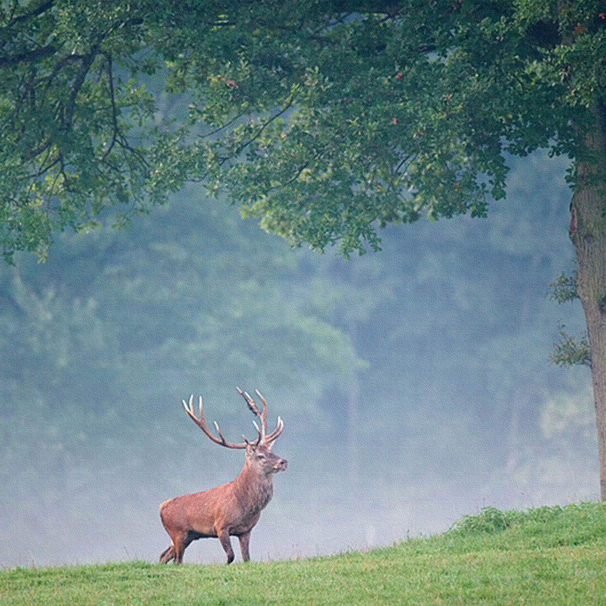 シカモチーフのインテリア小物 一人暮らし インテリア pho-0070