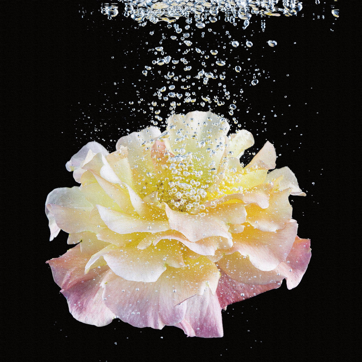 花のアートパネル アート 雑貨 pho-0082