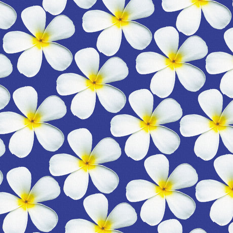 花のアートパネル インテリア 雑貨 アート シンプルモダン  pho-0107