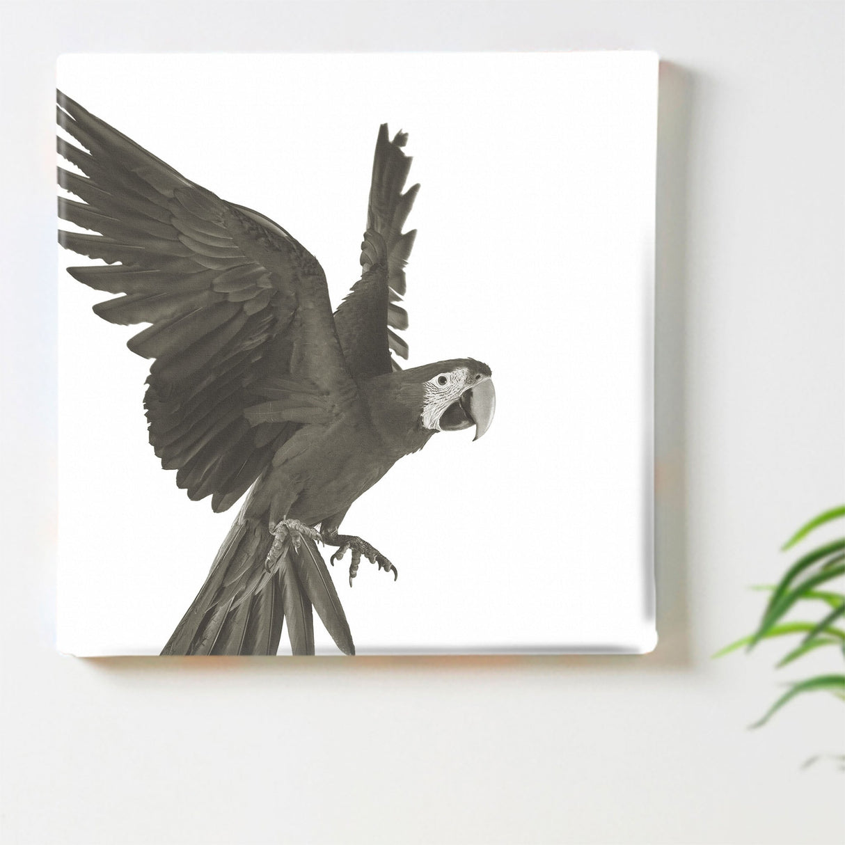 鳥の壁掛けアート インテリア 雑貨 アート シンプルモダン  pho-0108