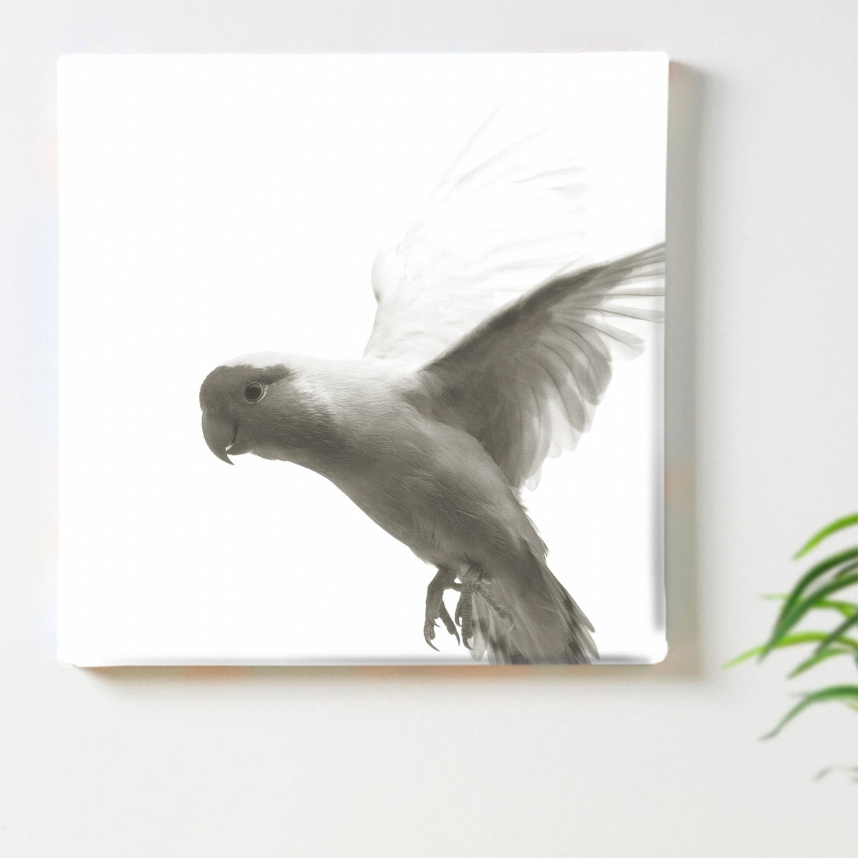 鳥のファブリックボード インテリア 雑貨 アート シンプルモダン  pho-0109