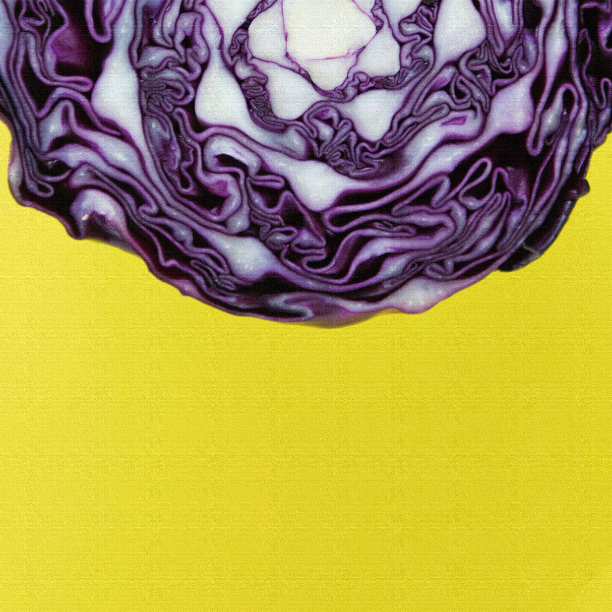 モダンアートのファブリックパネル インテリア雑貨 アートパネル キャンバス 野菜 phot-1812-002