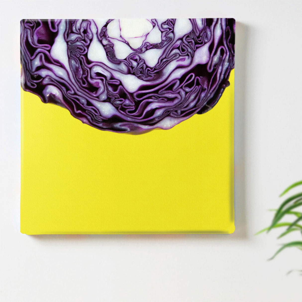 モダンアートのファブリックパネル インテリア雑貨 アートパネル キャンバス 野菜 phot-1812-002