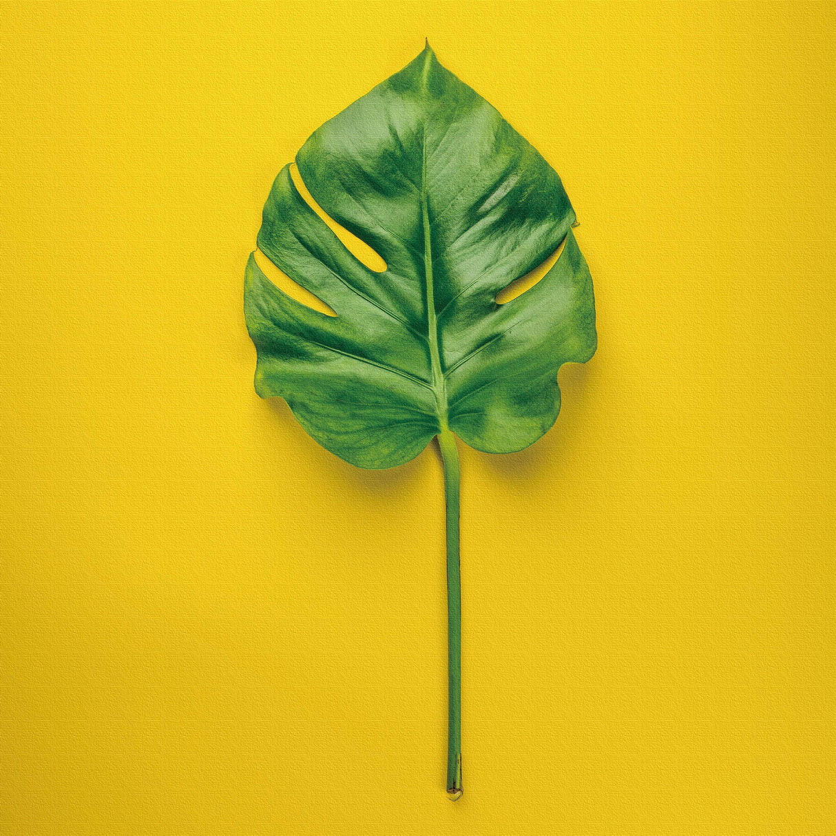 モダンアートのファブリックパネル インテリア雑貨 アートパネル キャンバス phot-1812-004