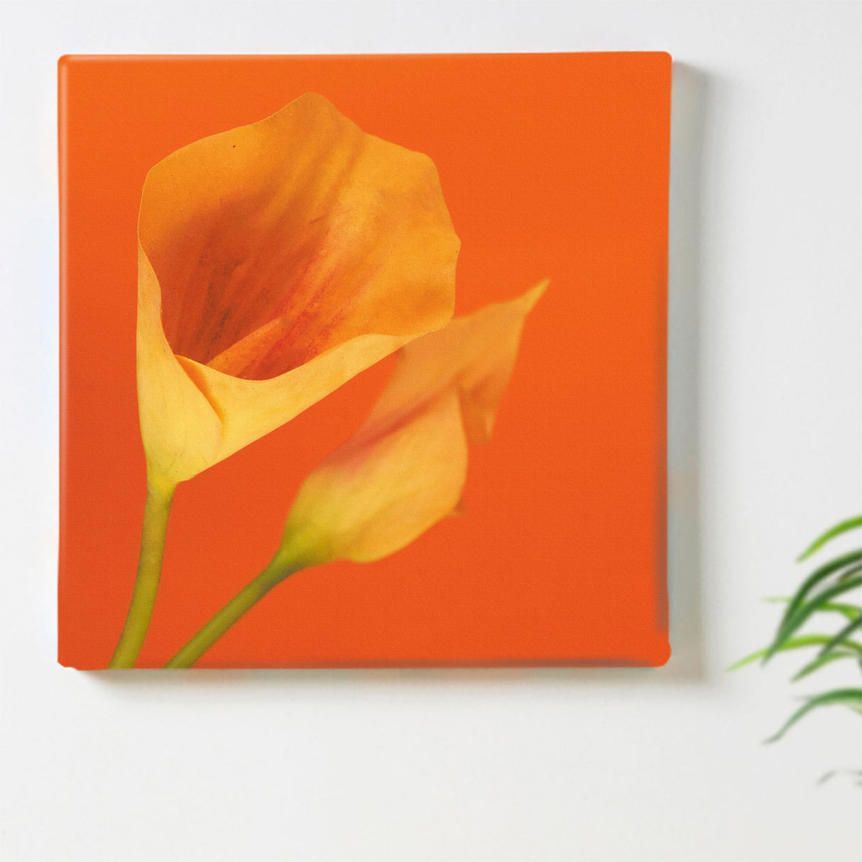 花のアートパネル インテリア雑貨 アートパネル キャンバス オレンジ poht-2205-01