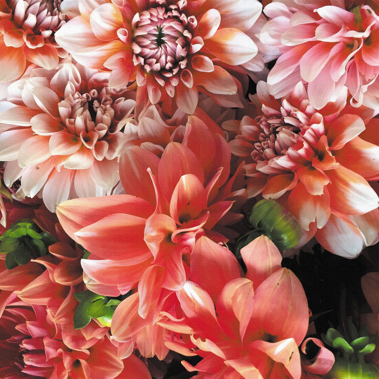 花のファブリックボード インテリア雑貨 アートパネル キャンバス ピンク poht-2205-02