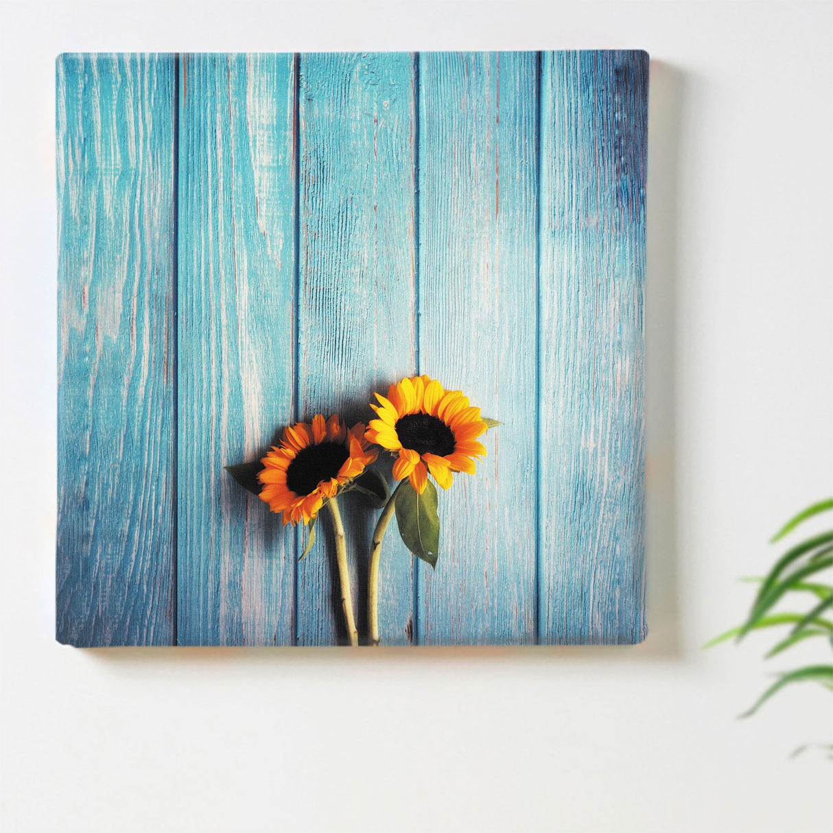 Flower Art Panel Interior Goods Art Panel Canvas Sunflower Blue poht-2205-03
