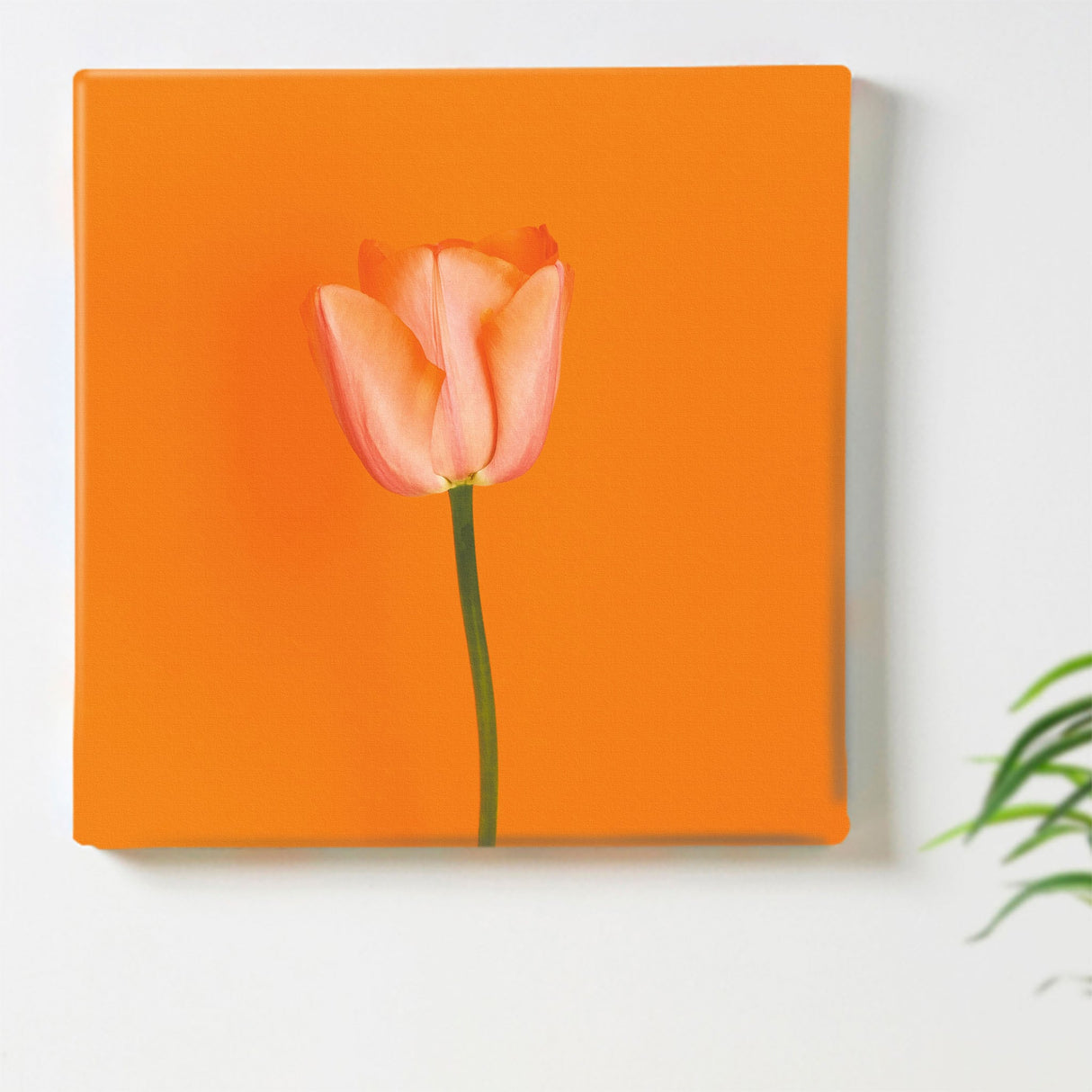 花のアートパネル インテリア雑貨 アートパネル キャンバス オレンジ poht-2205-05