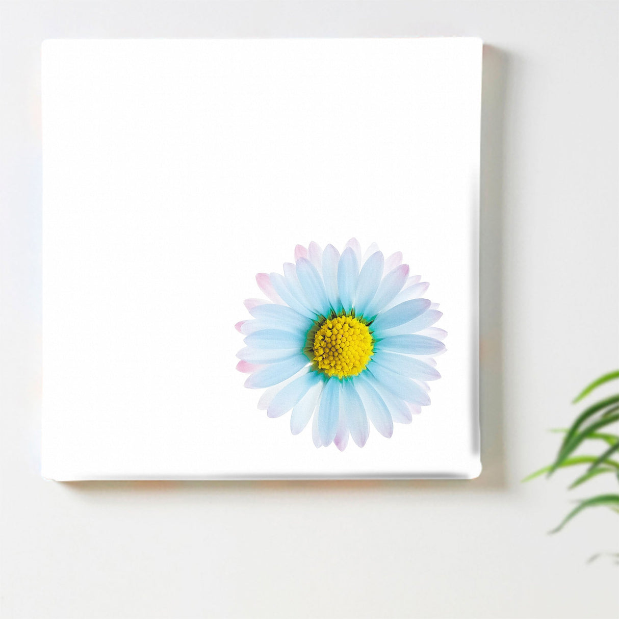 花のファブリックボード インテリア雑貨 アートパネル キャンバス ホワイト poht-2205-06