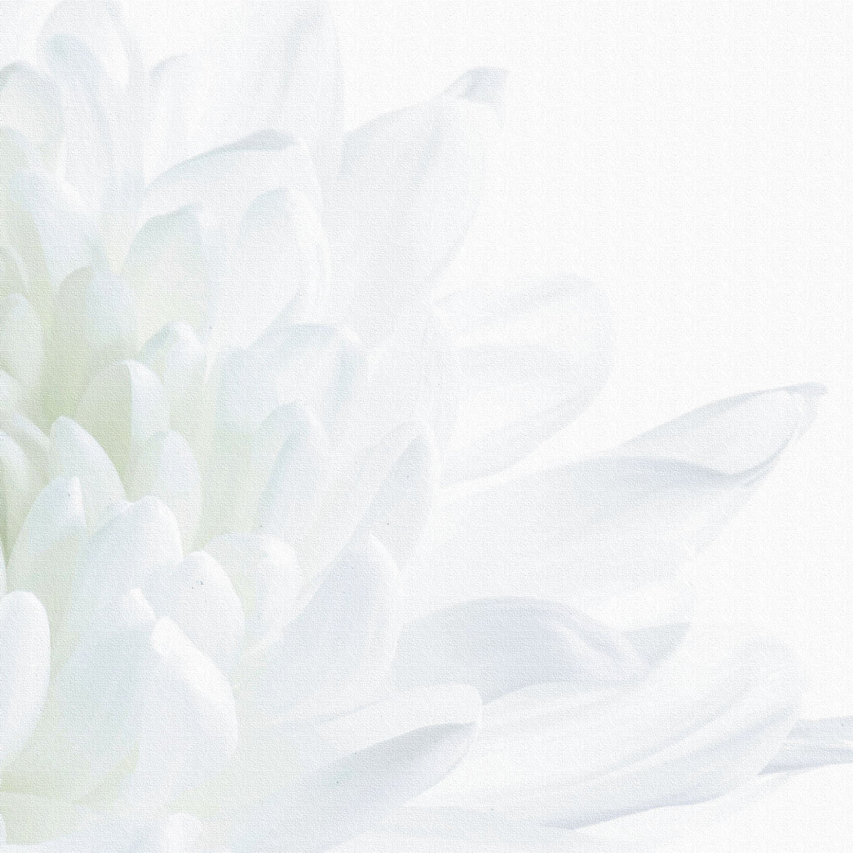 花のファブリックボード インテリア雑貨 アートパネル キャンバス ホワイト poht-2205-08