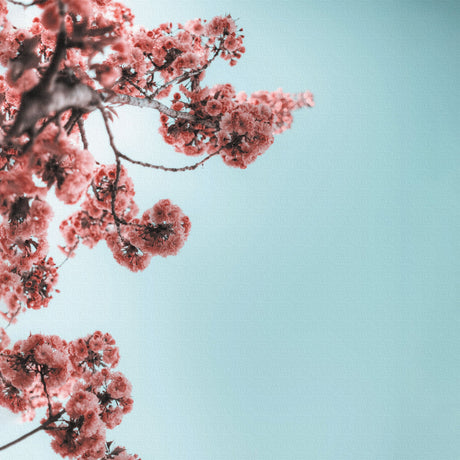 Flower art panel Interior goods Art panel Canvas Pink Blue poht-2205-09