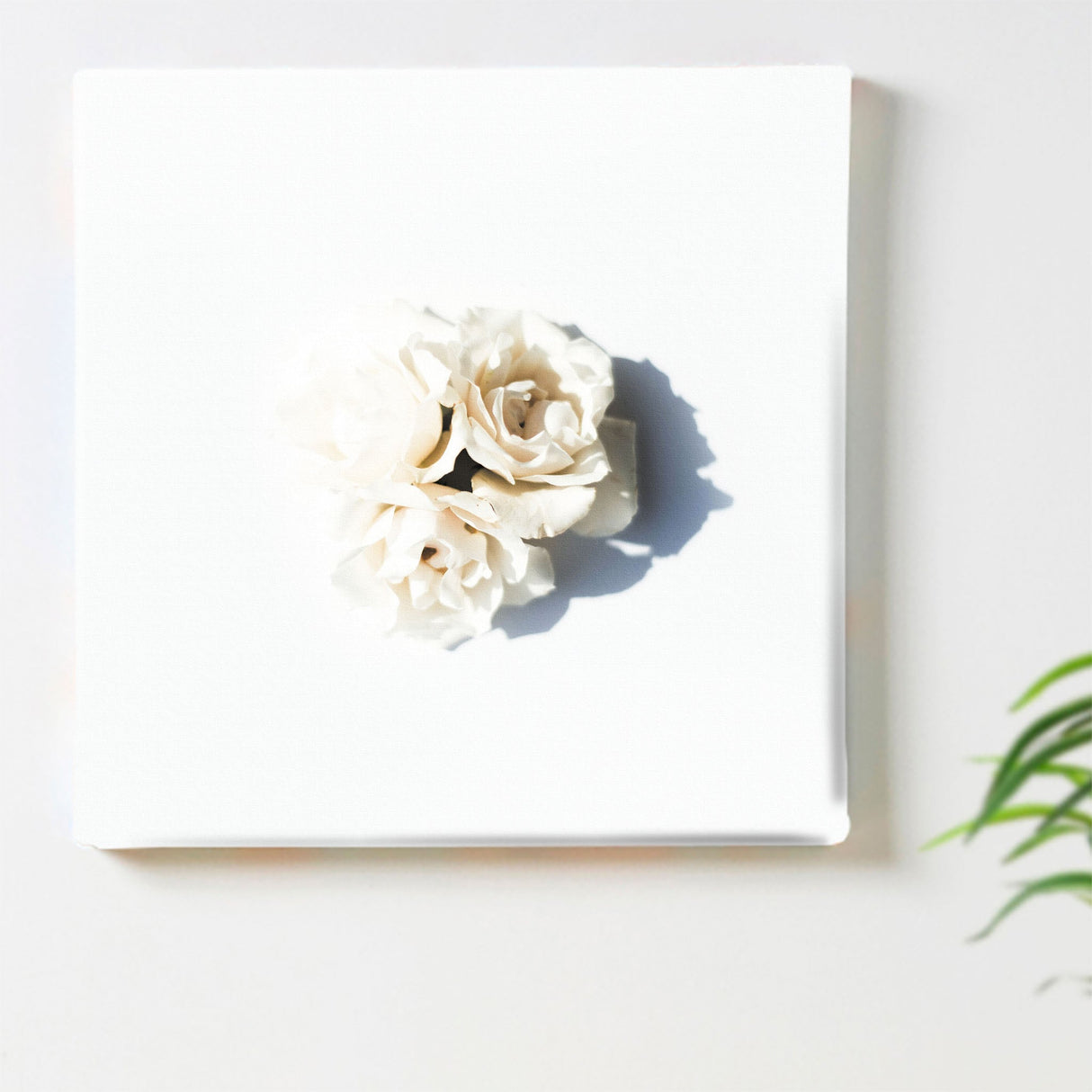 花のアートパネル インテリア雑貨 アートパネル キャンバス ホワイト poht-2205-11