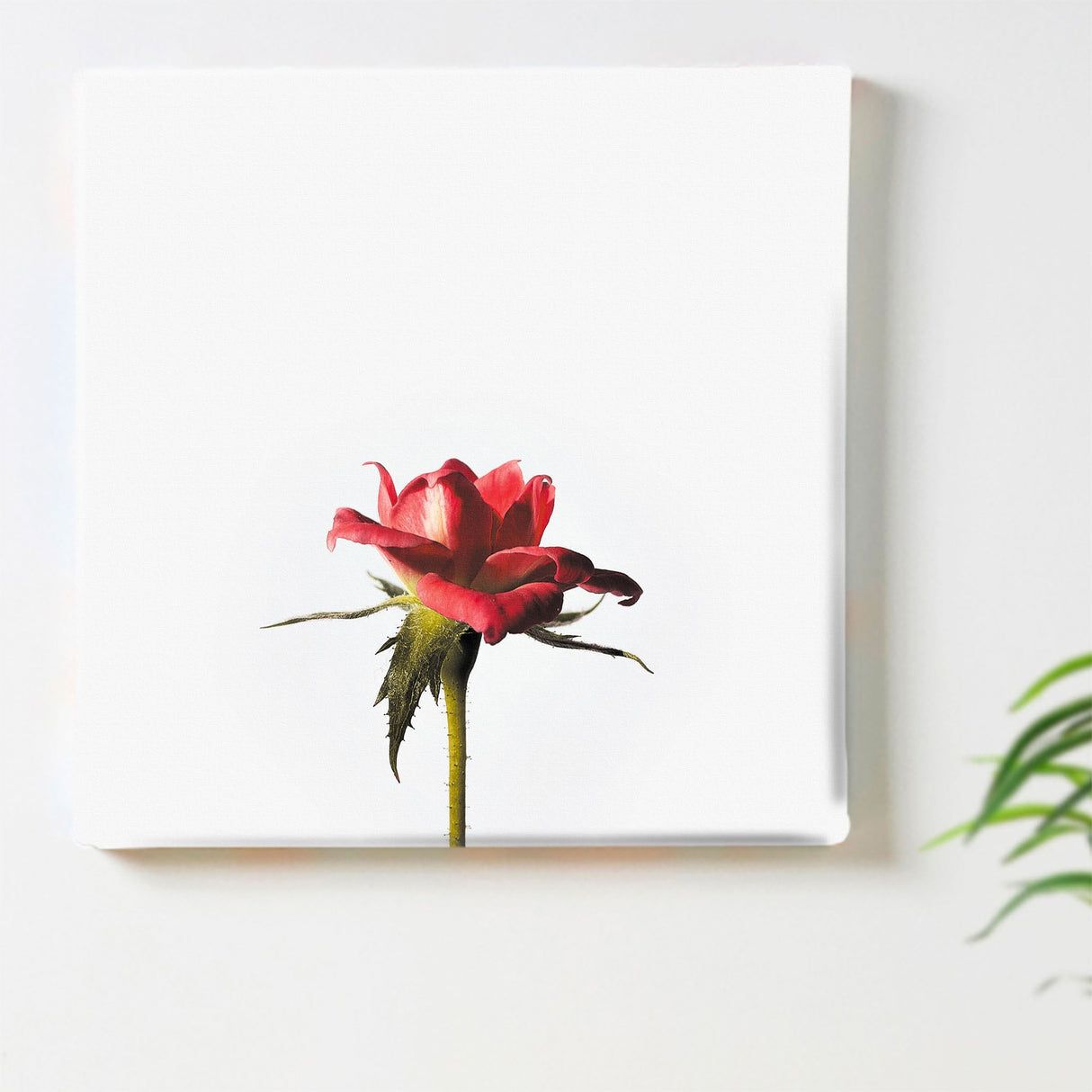 花のファブリックボード インテリア雑貨 アートパネル キャンバス ホワイト poht-2205-14