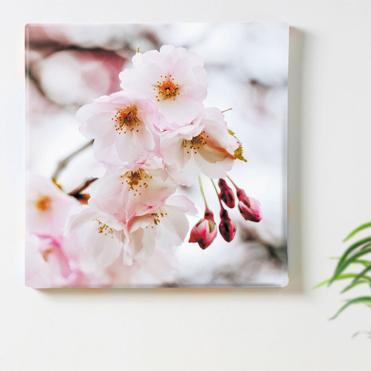 花のアートパネル インテリア雑貨 アートパネル キャンバス ピンク 桜 poht-2205-19