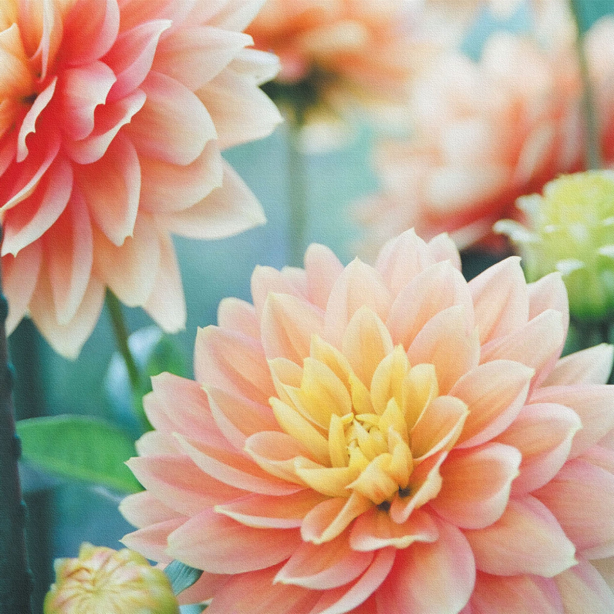 花のファブリックボード インテリア雑貨 アートパネル キャンバス ピンク poht-2205-20