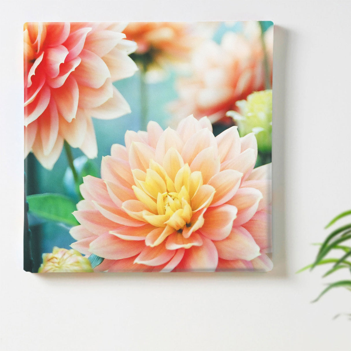 花のファブリックボード インテリア雑貨 アートパネル キャンバス ピンク poht-2205-20