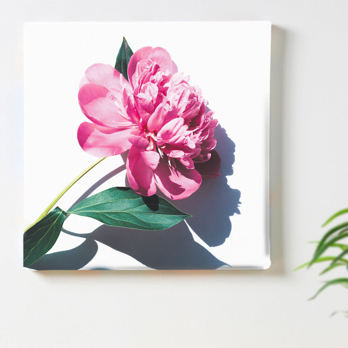 花のアートパネル インテリア雑貨 アートパネル キャンバス ピンク poht-2205-21