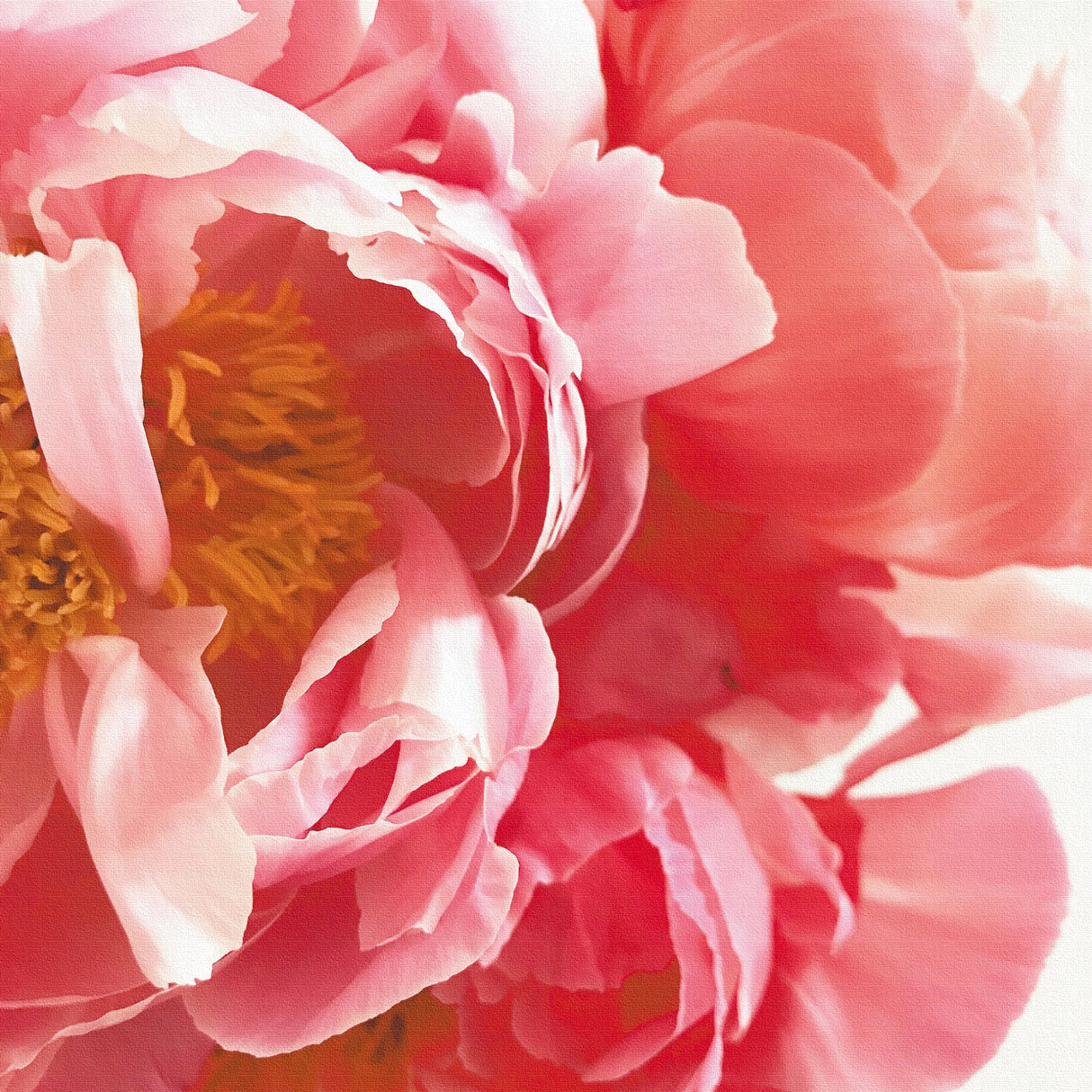 Floral Fabric Board Interior Goods Art Panel Canvas Pink poht-2205-22