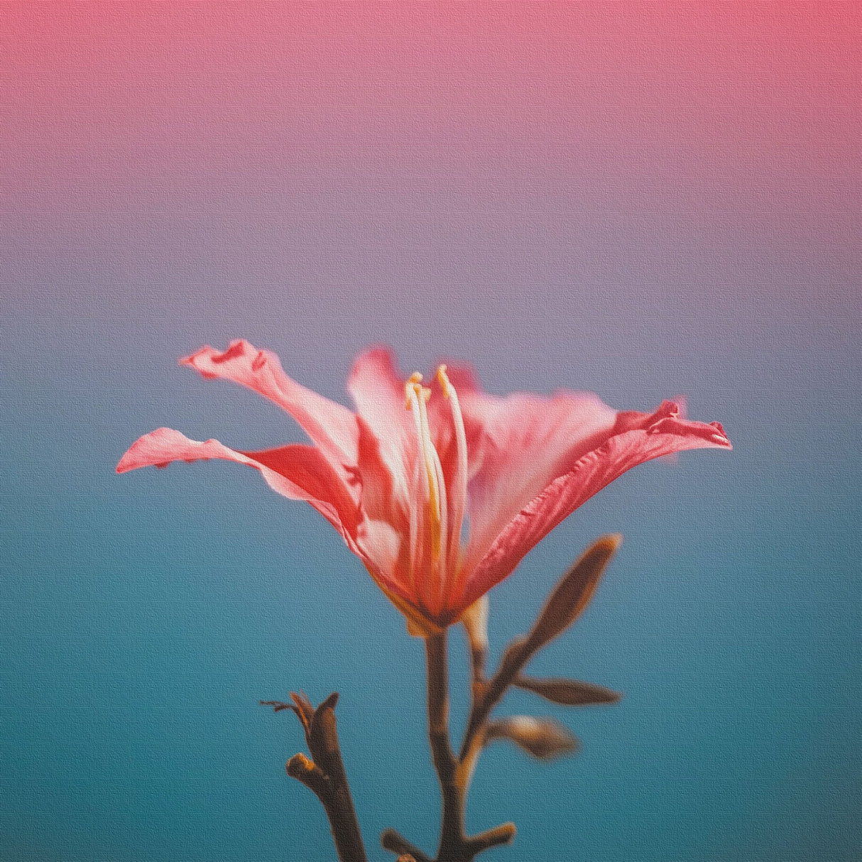 花のファブリックボード インテリア雑貨 アートパネル キャンバス ピンク poht-2205-24