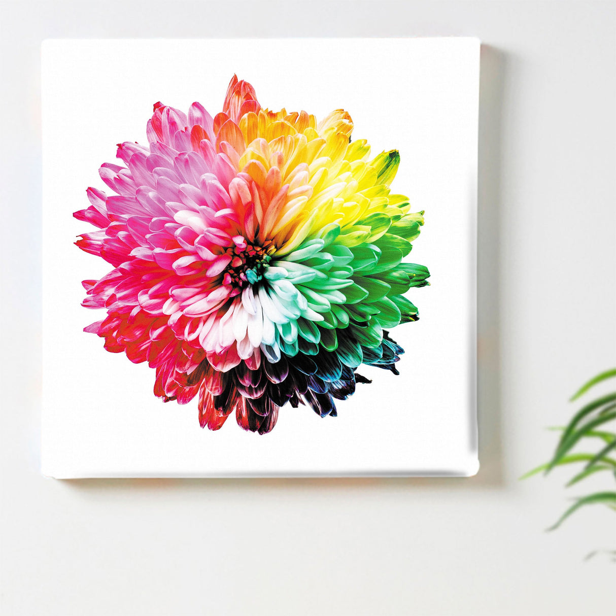 花のアートパネル インテリア雑貨 アートパネル キャンバス カラフル poht-2205-25