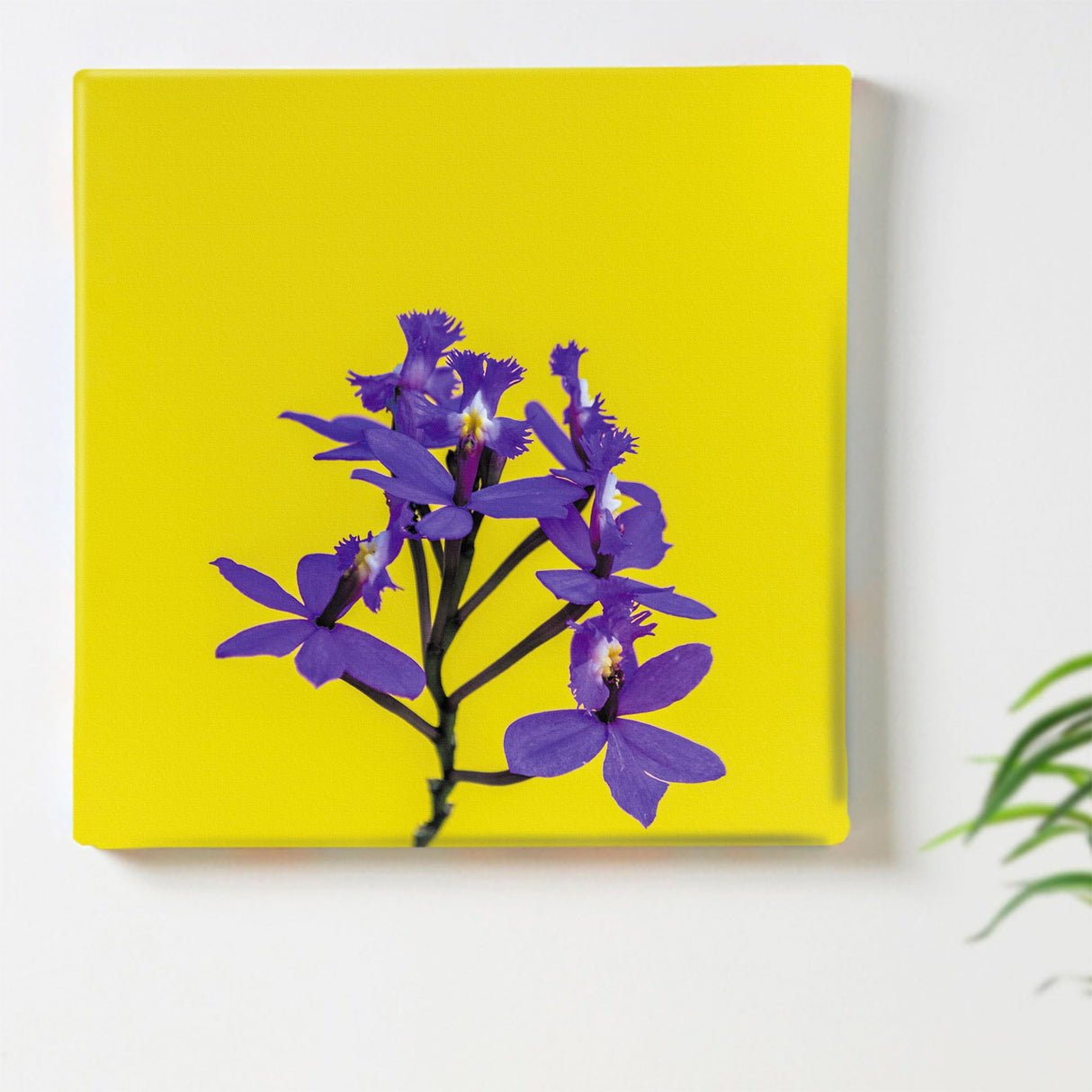 花のファブリックボード インテリア雑貨 アートパネル キャンバス イエロー poht-2205-26
