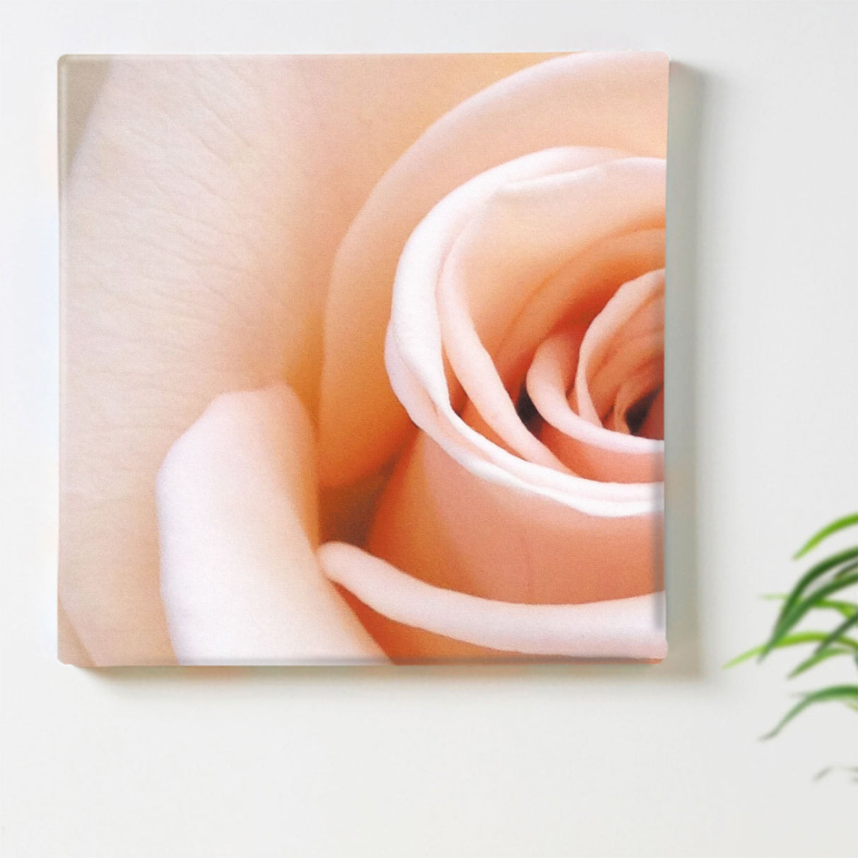 Floral Fabric Board Interior Goods Art Panel Canvas Pink poht-2205-28