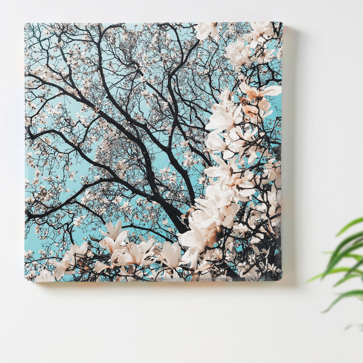 花のアートパネル インテリア雑貨 アートパネル キャンバス ピンク 桜 poht-2205-29