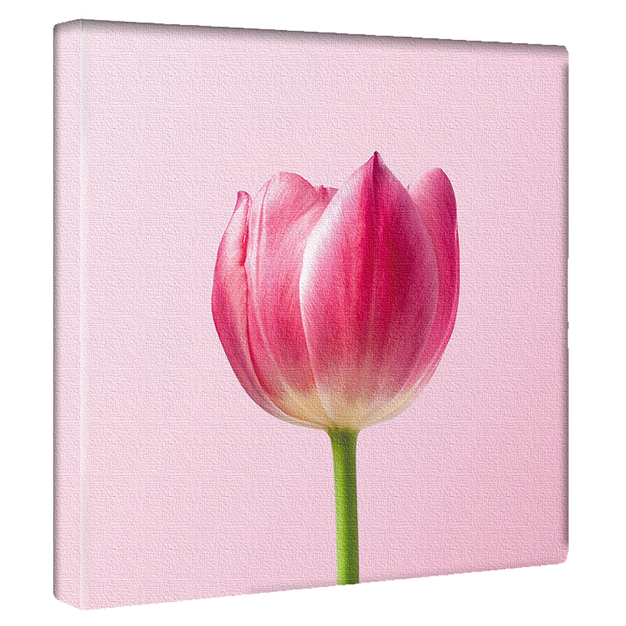 花のファブリックボード インテリア雑貨 アートパネル キャンバス ピンク poht-2205-30