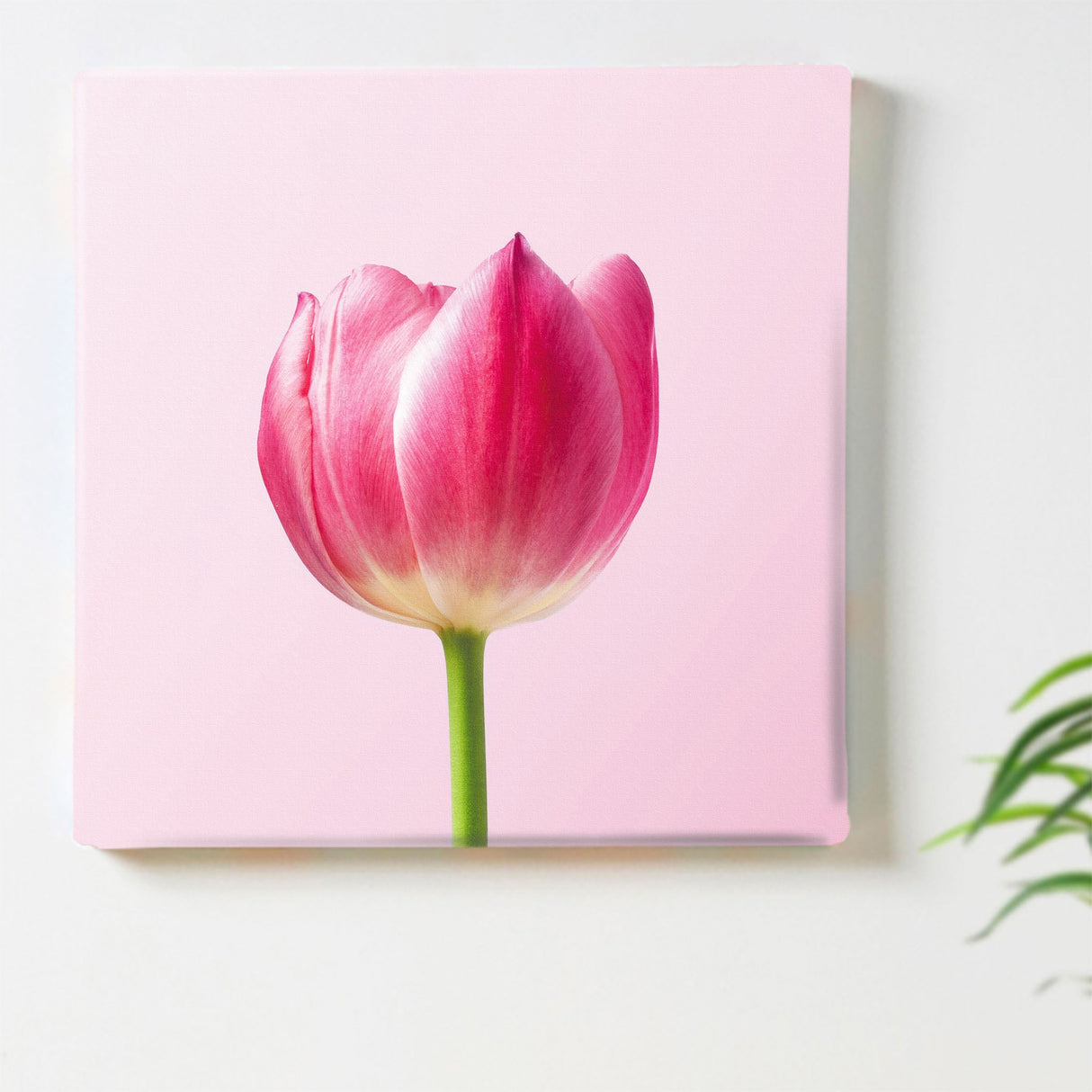 花のファブリックボード インテリア雑貨 アートパネル キャンバス ピンク poht-2205-30