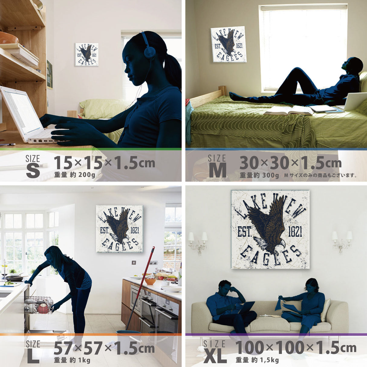 アメリカンなイーグルのファブリックボード ポスター アート pop-0041