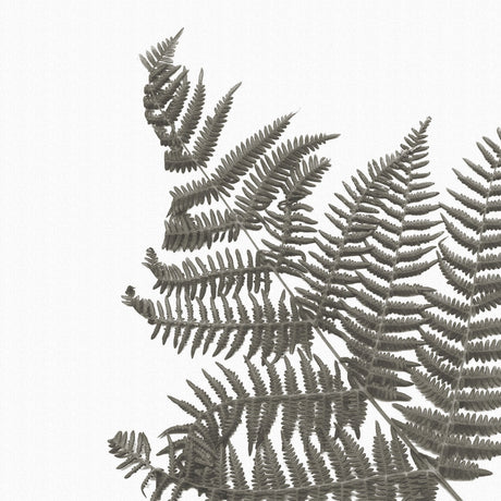 植物のアートパネル インテリア 雑貨 アート シンプルモダン  pop-0099