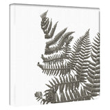 植物のアートパネル インテリア 雑貨 アート シンプルモダン  pop-0099