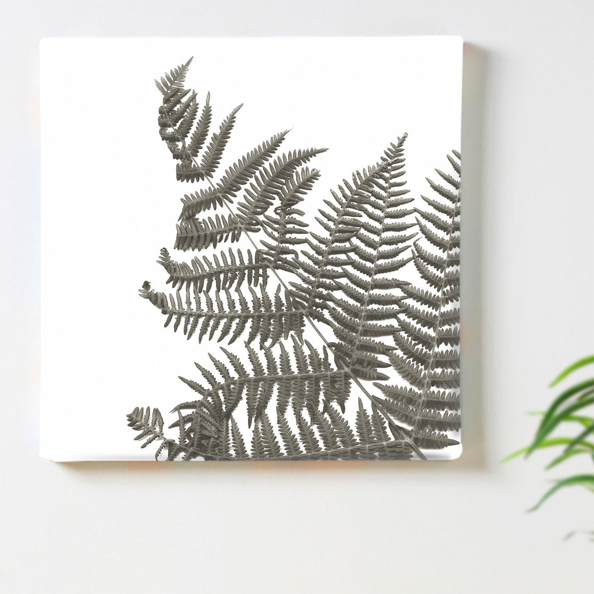 植物のアートパネル インテリア 雑貨 アート シンプルモダン  pop-0099