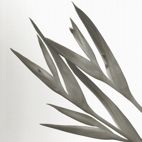 植物の壁掛けアート インテリア 雑貨 アート シンプルモダン  pop-0100